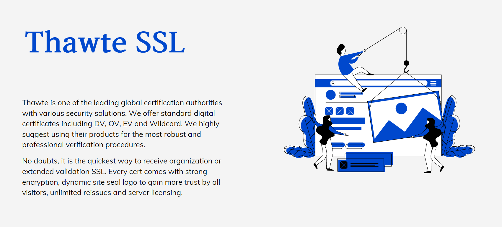 Thawte | Thawte Wildcard SSL Certificate